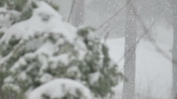 Красивая зимняя идиллия — стоковое видео
