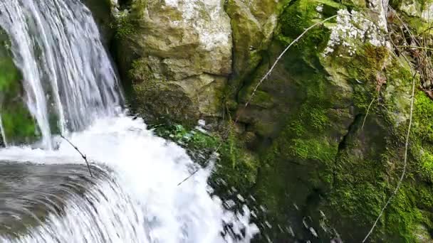 Poder da Natureza - Magnífica cachoeira em close-up em uma bela natureza — Vídeo de Stock