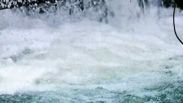 Kracht van de natuur - prachtige waterval in close-up in een prachtige natuur — Stockvideo