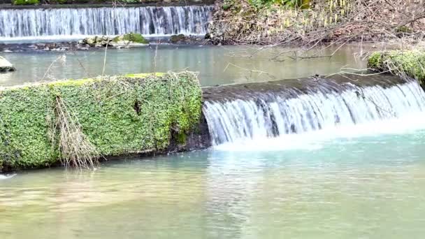 Kraften i naturen - magnifika vattenfall i närbild i vacker natur — Stockvideo