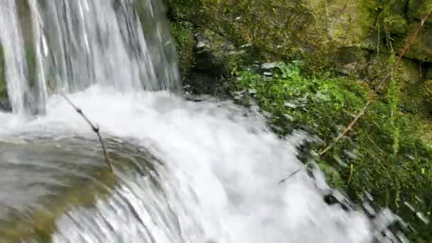 Puissance de la nature - Magnifique cascade en gros plan dans une belle nature 