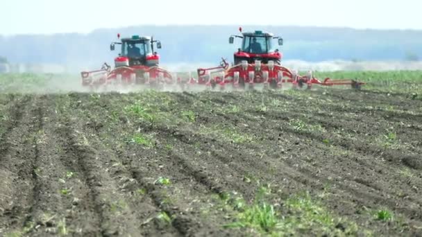 Primavera Semeadura de beterraba açucareira — Vídeo de Stock