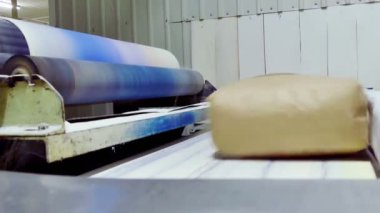 Ambalaj şeker şeker pancarı işlenmesi için bir fabrikada bir Konveyör bant üzerinde