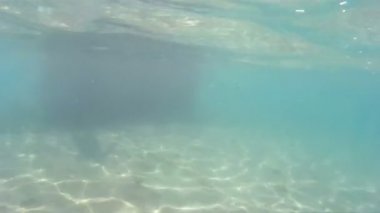 egzotik denizlerde dalış