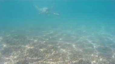 egzotik denizlerde dalış