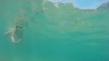 egzotik denizlerde dalış