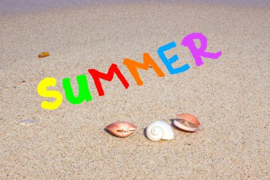 Deniz kenarında yaz