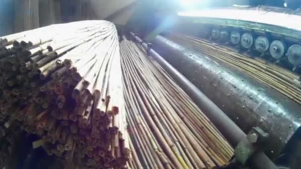 Фабрика тростини — стокове відео