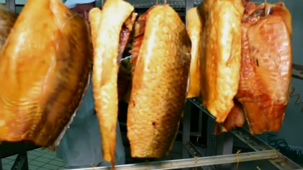 Drying fish carp — Stock Video