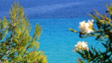 Denizi, plajları ve yaz