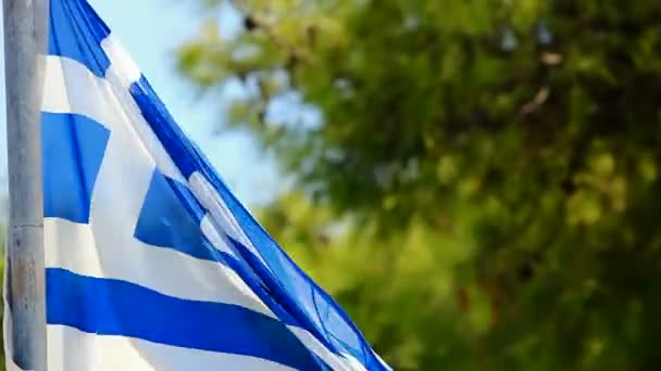 Griechische Flagge — Stockvideo