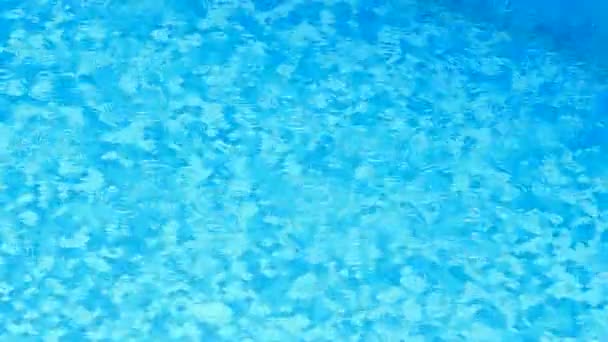 Pluie estivale près de la piscine — Video