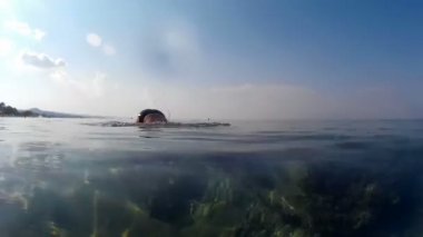 Yüzme ve deniz keyfi