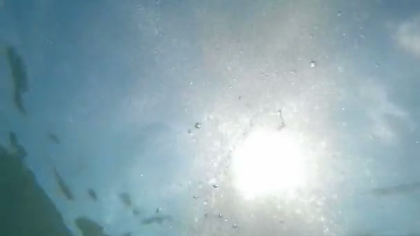 Une journée d'été merveilleuse et chaude à la mer 
