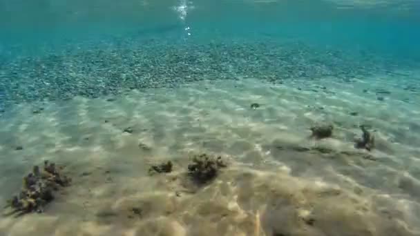 Pequeñas piedras en el fondo del mar — Vídeos de Stock