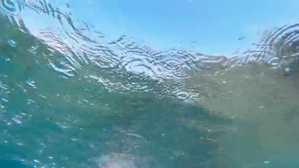Berenang dan menikmati di laut — Stok Video