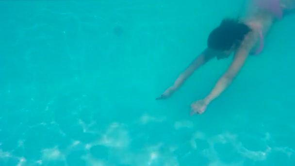 プライベートのスイミング プールでのダイビング — ストック動画