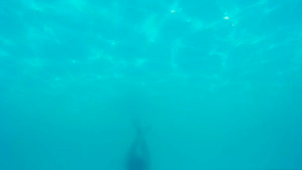 Diving in the private swimming pool — Stock Video