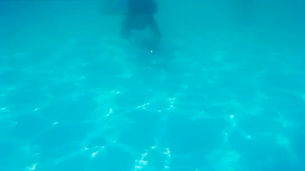 Plongée dans la piscine privée — Video