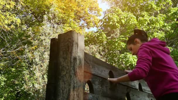 La cámara lenta de saltar una barrera de madera en el sitio de prueba — Vídeos de Stock