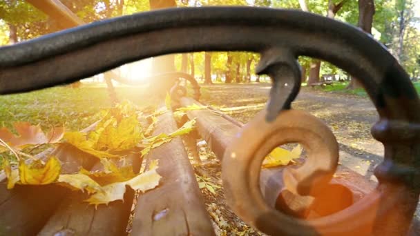 Charms Of Autumn In Slow Motion — Stock Video