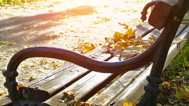 Брелоки осінь у повільному — стокове відео