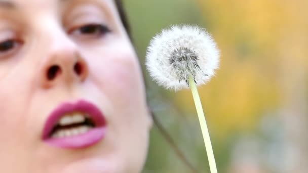 Souffler le pissenlit dans la nature au ralenti — Video