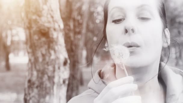 Blowing Dandelion in Nature in Slow Motion — Stock Video