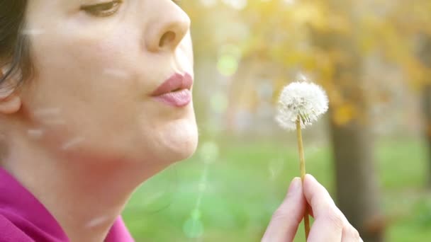 Blowing Dandelion in Nature in Slow Motion — Stock Video