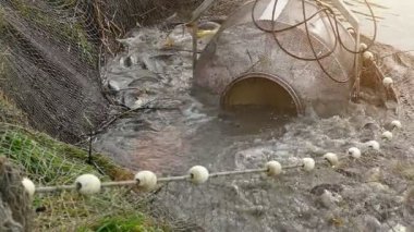 Balık çiftliği balık hasat