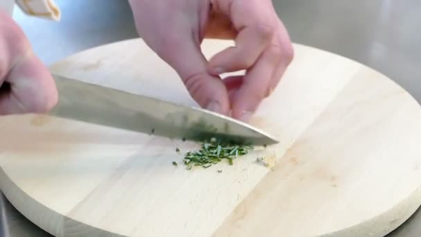 Zubereitung des Essens durch den Koch — Stockvideo
