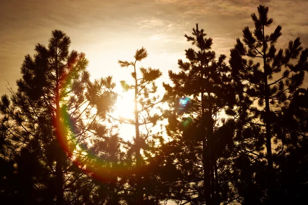 De berg zonsondergang Rechtenvrije Stockafbeeldingen