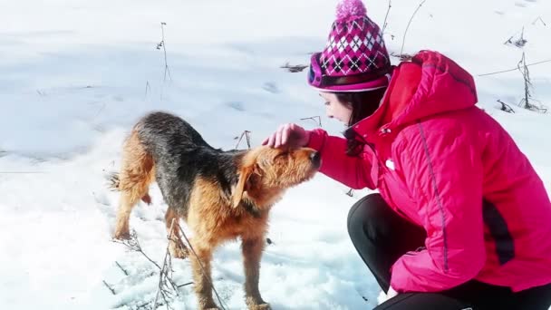 Köpek insanın en iyi dostudur. — Stok video