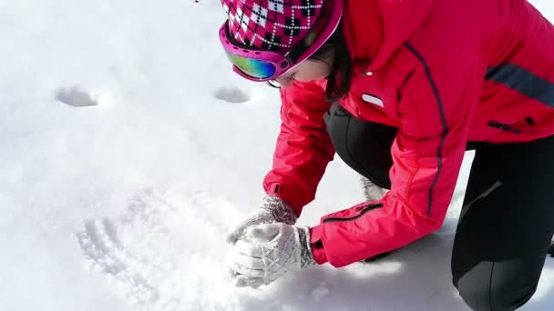 Tutta la magia invernale al rallentatore — Video Stock