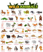 Картина, постер, плакат, фотообои "wide variety of wild animals", артикул 111435554