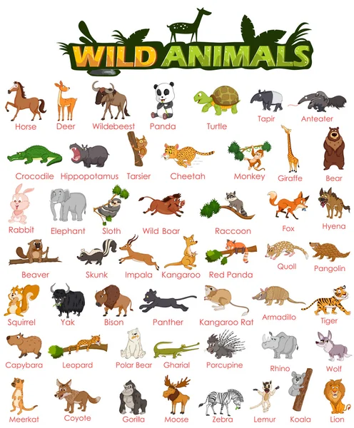 Gran variedad de animales salvajes — Vector de stock