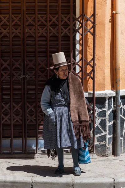 February 2020 Bolivian Older Woman Traditional Clothing Andean Highlands Potos — Stock Photo, Image