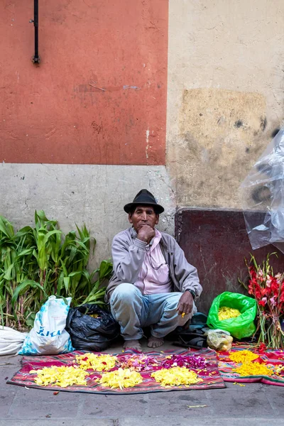 February 2020 Woman Wearing Traditional Clothes Selling Petals Street Potosi — Stock Photo, Image