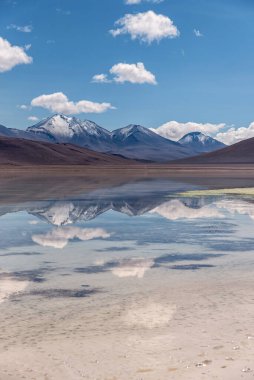 And Dağları 'nın Bolivya' daki Altiplano 'nun güneybatısındaki yansıması