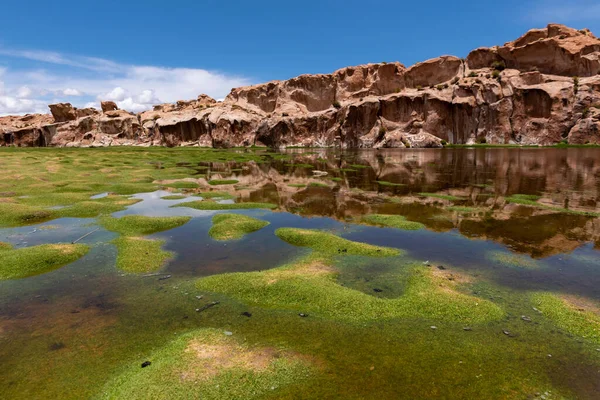 Malowniczy Krajobraz Południowy Zachód Altiplano Boliwii Pochmurny Dzień — Zdjęcie stockowe