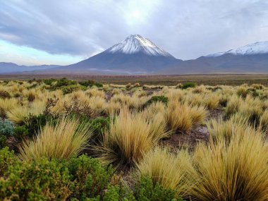 Şili 'de karla kaplı Licancabur volkanının görkemli manzarası