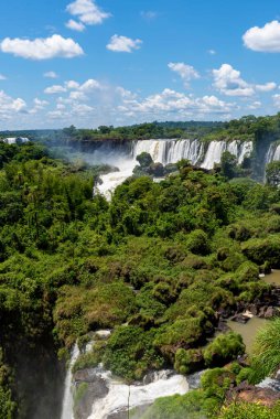 Iguazu Şelalesi 'nin muhteşem canlı manzarası yemyeşil bitki örtüsü arasında akan su akıntıları.