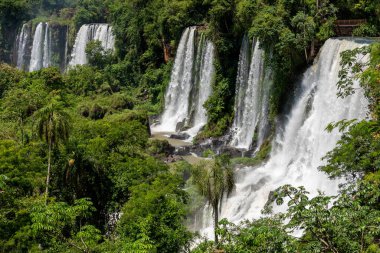 Iguazu Şelalesi 'nin muhteşem canlı manzarası yemyeşil bitki örtüsü arasında akan su akıntıları.