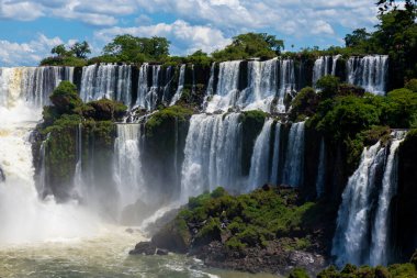 Güneşli bir günde yemyeşil bitki örtüsü arasında akan su akıntılarıyla Iguazu Şelalesi 'nin muhteşem canlı manzarası.