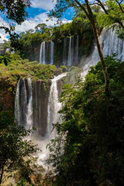 Güneşli bir günde yemyeşil bitki örtüsü arasında akan su akıntılarıyla Iguazu Şelalesi 'nin muhteşem canlı manzarası.