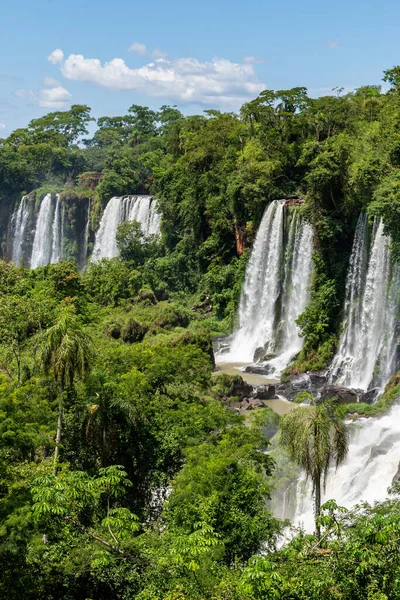 Nádherná Živá Krajina Vodopádů Iguazu Vodními Toky Padajícími Mezi Zelenající — Stock fotografie