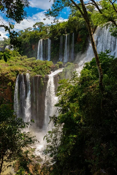 Nádherná Živá Krajina Vodopádů Iguazu Vodopády Padajícími Mezi Zelenající Vegetací — Stock fotografie