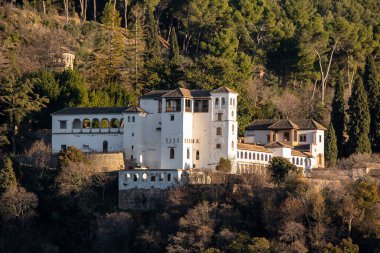 Granada, İspanya 'daki Arap sarayı manzarası Generalife