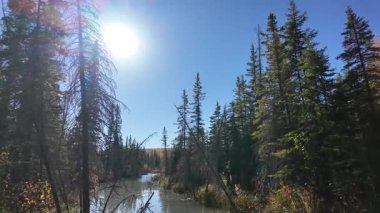 Kanada kayalık dağlarında düşmek