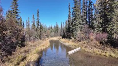 Kanada kayalık dağlarında düşmek